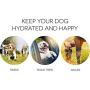 MODGY Dog Bowl-Collapsible & Expandable, Convenient, Great for Traveling, Camping, Hiking, Picnics & More