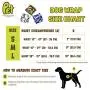 Pet Magasin Small Original Belly Wrap & Pet Magasin Large Training Pad Bundle