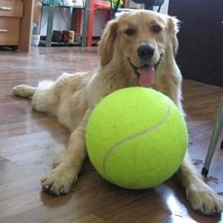 Kana5459 24CM Giant Tennis Ball Pet Chew Toy Big Inflatable Tennis Ball Signature Mega Pet Toy Ball