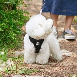 THE ZOOS Thezoos Bennys Basic Harness Comfortable Vest Fit Simple Size Adjustment Easy Control Soft No Pull Dog All Weather for Puppies Small Medium Dogs
