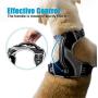 Petties&Sweeties No Pull Dog Harness, Reflective Adjustable Soft Padded Vest Unique Colors,with a Easy Control Training Handle