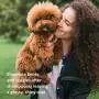 Veterinary Formula Solutions Gloss & Glide Detangler, Shine Builder, Conditioner Spray for Dogs, 8 oz – Quickly Detangles Matted Hair –With Silk Protein and Antioxidants