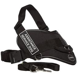 Dean & Tylers DT Fun Chest Support ''SEIZURE SUPPORT DOG'' Harness, X-Large, with 6 ft Padded Puppy Leash.
