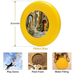 Pet Frisbee Flying Disc Dog Toy - Multifunction La Porta Rossa Sulla Salita Guido Borelli