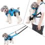 4 in 1 Multi Functional Dog Carrier Backpack , Dog Warm Vest Clothes, Dog Carrier Slings Bag , Dogs Collar Harness with Leash , Blue & M