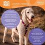 Max & Molly Ultra Secure and Comfortable Padded Neoprene Sport Step-in Dog Harness, Adjustable and Easy Control, Heroes