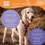 Max & Molly Ultra Secure and Comfortable Padded Neoprene Sport Step-in Dog Harness, Adjustable and Easy Control, Puzzle
