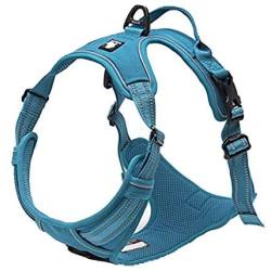 Adjustable No-Pull Dog Harness Reflective Pup Vest Harnesses Comfortable Control Brilliant Colors Truelove TLH5651(Blue,L)