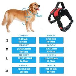 Jxinrong Dog Leash Harness Adjustable & Durable Leash Set & Heavy Duty Denim Dog Leash Collar for Small, Medium and Large Dog, Perfect for Daily Training Walking Running