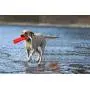 BINGPET Dog Retriever Training Dummy Retrieving Bumpers Pool Toy