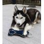 Pets First NCAA Penn State Nittany Lions College Dental Tough Dog TUG Bone Toy with Built-in Squeaker Attached to a Safe Rubber Teething Toothbrush PET Toy, Team Color, 14 x 5 (PA-3310)