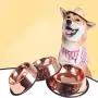 Stainless Steel Dog Bowl, Rose Gold pet Bowl, Non-Slip cat Food Dog Bowl 895ML, Suitable for All Types of Pets Stainless Steel Dog Bowl, Rose Gold pet Bowl, Non-Slip cat Food Dog Bowl 895ML, Suitable for All Types of Pets