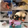 Pet Toys Pet Dog Gnawing Molars Toys Carrots Hand Woven Molars Cotton Rope Pet Supplies