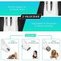 SlowTon Dog Nail Grinder with LED Light, 2-Speed Quite Electric Pet Paws Claw Care Trimmer Clipper USB Rechargeable Grooming Tool for Small Medium Large Dogs Puppy Cats Kitten with Nail Collector