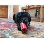 SodaPup - Natural Rubber Retro Soda Can Shaped Chew Toy - Treat Dispenser - Slow Feeder - for Heavy Chewers - Made in USA - Red - Large