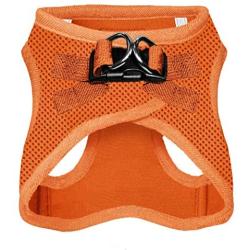 Best Pet Supplies Voyager Step-in Air Dog Harness - All Weather Mesh, Step in Vest Harness for Small and Medium Dogs Orange (Matching Trim), S (Chest: 14.5-17'') (207-ORW-S)