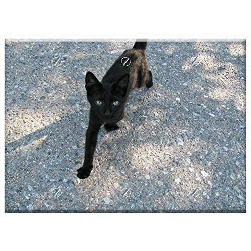 Triple Blank Wall Plate Cover - Cat Kitty Kitten Little Young Tiny Feline Pet 1