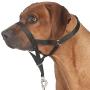 Royal Pet Club Top Trainer Dog Training Harness