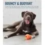 Planet Dog Orbee-Tuff Diamond Plate Ball - Nearly Indestructible Chew Dog Toy Planet Dog Orbee-Tuff Diamond Plate Ball - Nearly Indestructible Chew Dog Toy