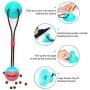 WLHOPE Dog Chew Suction Cup Tug of War Toy, Rope with Resistance to Strong Bites Strong Training Effect for Small Medium Dogs (Blue Pink)