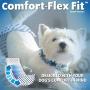 OUT! Disposable Male Dog Diapers | Absorbent Male Wraps with Leak Protection | Excitable Urination, Incontinence, or Male Marking (M/L, 96 ct)