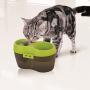 Cat H2O