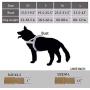 XS Size Puppy Dog Collar Nylon Adjustable No Pull Dog Harness Small Dog Harness with Padded
