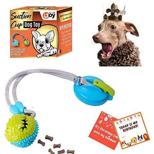 Live with Joy- Tug of War Dog Toy, Suction Cup Dog Chew Toy, Multifunction Interactive Puppy Rope Toy with Ball,Tugging and Teeth Cleaning, Puzzle Training for Aggressive Chewers,Pet Toothbrush Dental