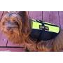 Dogline Service Dog Patch for Harness and Vest Removable 3D Rubber Patches Hook Backing for Small or Large Working Dogs