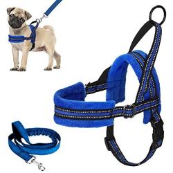 Lukovee Walking Dog Harness and Leash, Heavy Duty Adjustable Puppy Harness Soft Padded Reflective Vest Harness Anti-Twist 4FT Pet Lead Quick Fit Lightweight for Small Dog Cat (X-Small, Blue)