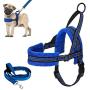 Lukovee Walking Dog Harness and Leash, Heavy Duty Adjustable Puppy Harness Soft Padded Reflective Vest Harness Anti-Twist 4FT Pet Lead Quick Fit Lightweight for Small Dog Cat