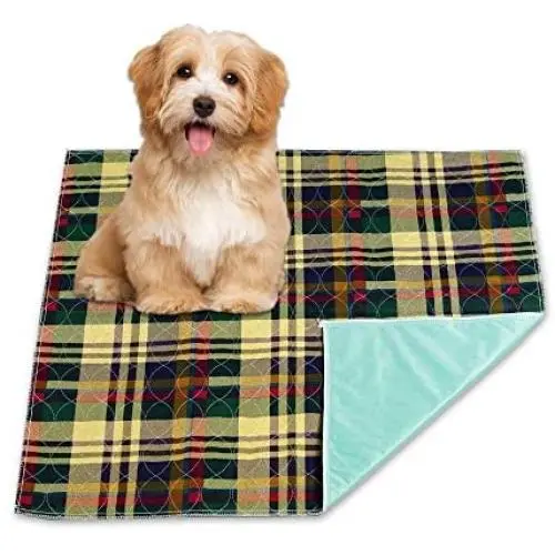 Reusable Washable Waterproof Pet Mat and Potty Training Mat For Housebreaking Your Pet - Soft Quilted Cotton Pet Mat With Bold Colors - Machine Washable And Dryer Friendly - Large 36'' x 34'' Size Reusable Washable Waterproof Pet Mat and Potty Training Mat For Housebreaking Your Pet - Soft Quilted Cotton Pet Mat With Bold Colors - Machine Washable And Dryer Friendly - Large 36'' x 34'' Size