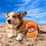 HugSmart Pet -Fruity Critterz | Squeaky Hide and Seek Plush Dog Toys | 2-in -1 Cute Interactive Plush Puzzle Toys for Small Medium Dogs (Pumpkin Hiding Fox) HugSmart Pet -Fruity Critterz | Squeaky Hide and Seek Plush Dog Toys | 2-in -1 Cute Interactive Plush Puzzle Toys for Small Medium Dogs (Pumpkin Hiding Fox)