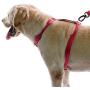 AdventureMore,Comfort Harness & Bungee Leash Set,Nylon,Reflective Adjustable Harness,Shock Absorbing Double Handle Leash XXL Red