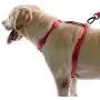 AdventureMore,Comfort Harness & Bungee Leash Set,Nylon,Reflective Adjustable Harness,Shock Absorbing Double Handle Leash XXL Red AdventureMore,Comfort Harness & Bungee Leash Set,Nylon,Reflective Adjustable Harness,Shock Absorbing Double Handle Leash XXL Red