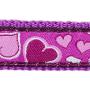 Red Dingo Breezy Love Purple Puppy Pack (Collar, Lead & Harness), One Size