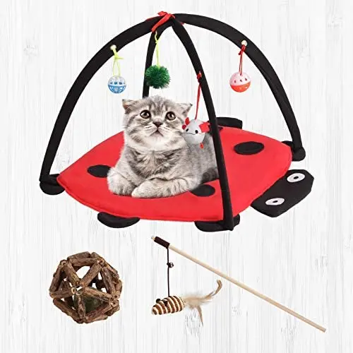 IYOBCXIHO Cat Play Mat, Cat Activity Center with Interactive Toys, Bell Ball, Mice Toy for Cats , Kitten, Kitty, Cat Toys with Mint Ball Cleaning Teeth, Natural Sisal Wand Teasers and Exerciser. IYOBCXIHO Cat Play Mat, Cat Activity Center with Interactive Toys, Bell Ball, Mice Toy for Cats , Kitten, Kitty, Cat Toys with Mint Ball Cleaning Teeth, Natural Sisal Wand Teasers and Exerciser.