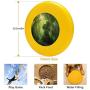 Pet Frisbee Flying Disc Dog Toy - Multifunction Llanowar Reborn Philip Straub