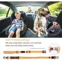 Canple Dog Leash multifuctional with car seat Belt Buckle for Medium to Large Dogs No Pull Shock Absorbing Strong Bungee Reflective Dog Training Leash 4-6 ft 2 Padded Traffic Handle