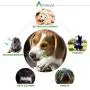 Dog Toys for Aggressive Chewers Large Breed, Anseya Tough Dog Chew Toy Nylon Teething Toys Safe Bite Resistant Toothbrush Stick for Large/Medium/Small Puppies Dog Toys for Aggressive Chewers Large Breed, Anseya Tough Dog Chew Toy Nylon Teething Toys Safe Bite Resistant Toothbrush Stick for Large/Medium/Small Puppies