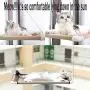 Cat Window Perch Bed, Cat Window Hammock Seat with Durable Heavy Duty Suction Cups Cat Bed Holds Up to 30lbs (Extra 2 Suction Cups and Funny cat Stick) Cat Window Perch Bed, Cat Window Hammock Seat with Durable Heavy Duty Suction Cups Cat Bed Holds Up to 30lbs (Extra 2 Suction Cups and Funny cat Stick)