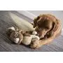 GoDog Wildlife Rabbit Large Toy with Chew Guard