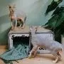 District 70 Sardine Cardboard Cat Scratcher District 70 Sardine Cardboard Cat Scratcher