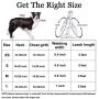 QQPETS Dog Harness and Leash Set Adjustable Back Clip No Pull Quick Fit/Release Halter Harness with Heavy Duty Leash 5FT Long for Extra Small Medium Large Breed Dogs Training Easy Walk