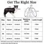 QQPETS Dog Harness and Leash Set Adjustable Back Clip No Pull Quick Fit/Release Halter Harness with Heavy Duty Leash 5FT Long for Extra Small Medium Large Breed Dogs Training Easy Walk