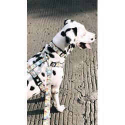 Max & Molly Ultra Secure and Comfortable Padded Neoprene Sport Step-in Dog Harness, Adjustable and Easy Control, Puzzle