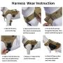 Mudinpet Tactical Dog Harness, Military Service Dog Vest for Small Medium Large Dogs, No Pull Escape-Proof Dog Utility Vest Mudinpet Tactical Dog Harness, Military Service Dog Vest for Small Medium Large Dogs, No Pull Escape-Proof Dog Utility Vest