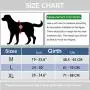 Rision Pet Dog Harness No-Pull Adjustable Pet Oxford Vest with 2 Leash Clips Soft Padded Dog Vest Reflective No-Choke with Easy Control Handle for Dogs Rision Pet Dog Harness No-Pull Adjustable Pet Oxford Vest with 2 Leash Clips Soft Padded Dog Vest Reflective No-Choke with Easy Control Handle for Dogs