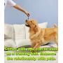 Emoly Upgraded Dog Treat Toy Food Dispensing Training Ball, Tooth Cleaning Chew Toy for Small Medium Dogs IQ Interactive Puppy Depressing Toys, Pet Bad Breath Cleaning Toy - Green