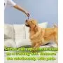 Emoly Upgraded Dog Treat Toy Food Dispensing Training Ball, Tooth Cleaning Chew Toy for Small Medium Dogs IQ Interactive Puppy Depressing Toys, Pet Bad Breath Cleaning Toy - Green Emoly Upgraded Dog Treat Toy Food Dispensing Training Ball, Tooth Cleaning Chew Toy for Small Medium Dogs IQ Interactive Puppy Depressing Toys, Pet Bad Breath Cleaning Toy - Green